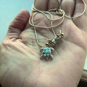 Larimar Turtle Jewelry Set